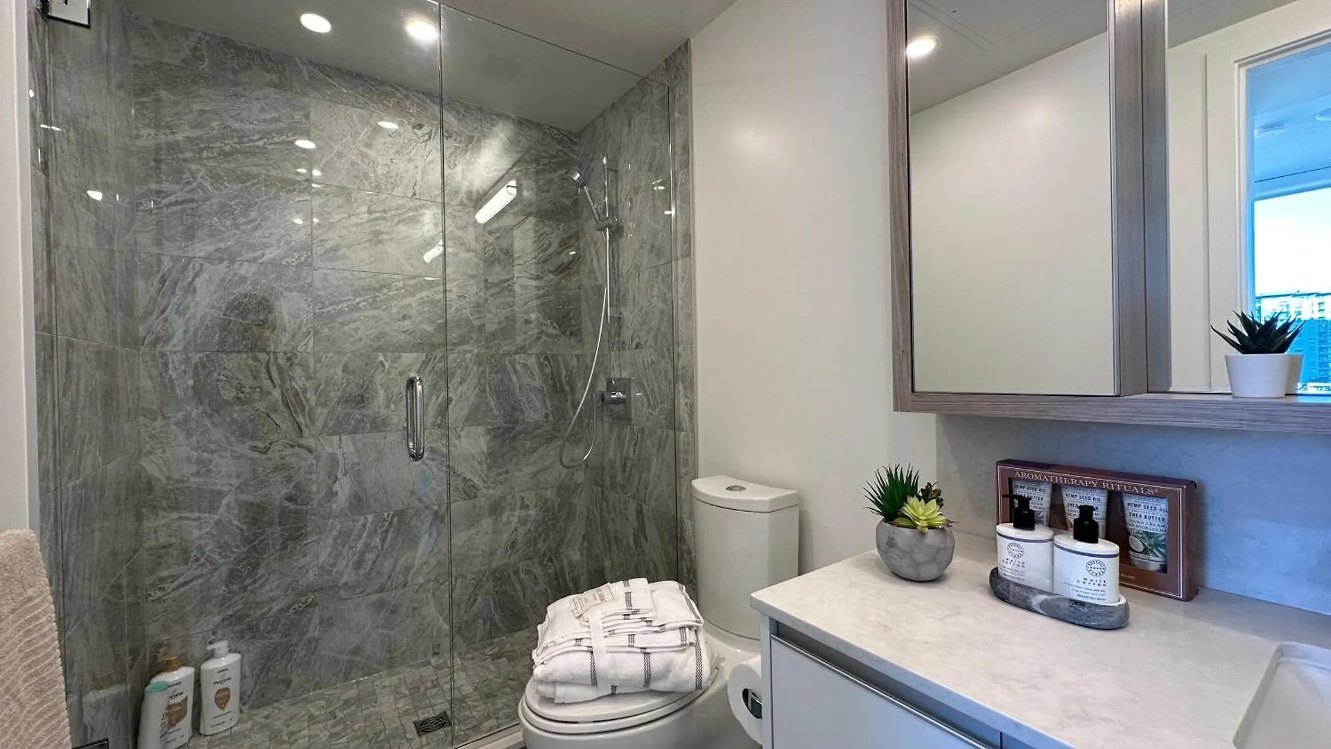 Ubc Pacific Spirit Modern Style Home Vancouver Apartment